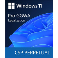 Программный продукт Microsoft Windows GGWA - Windows 11 Pro - Legalization Get Genuine