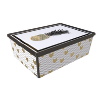 Контейнер Qutu Trend Box Pineapple Life, 25 л