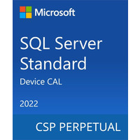 Программный продукт Microsoft SQL Server 2022 - 1 Device CAL