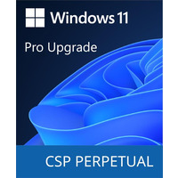 Программный продукт Microsoft Windows 11 Pro Upgrade