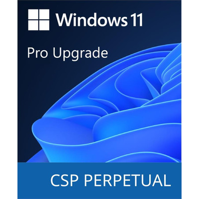 Программный продукт Microsoft Windows 11 Pro Upgrade