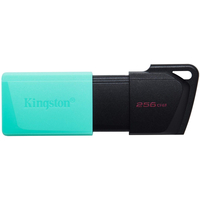 USB флеш накопичувач Flash Kingston DT Exodia 256GB USB3.2 Gen1 Black/Teal, Retail