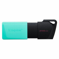 Флешка Kingston USB 3.2 DT Exodia M 256GB Black/Teal