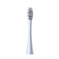 Насадка для зубної електрощітки Oclean P1C9 Plaque Control Brush Head Silver 2 шт (6970810552812)