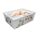 Контейнер Qutu Light Box Cats and Dogs, 25 л