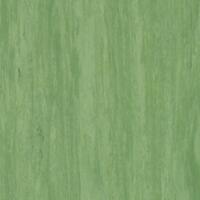 Линолеум Tarkett Standard Plus Dark Green 0921 (2m)