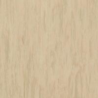 Линолеум Tarkett Standard Plus Light Yellow Beige 0483 (2m)