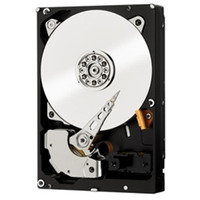 HDD 3.5" SAS 2.0TB WD Enterprise Class 7200rpm 32MB (WD2001FYYG)