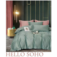 Комплект постільної білизни Soho Євро Boutique 200х230 см Dew Mint