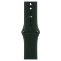 Ремешок для Apple Watch (38-40mm) Sport Band Dark Green (48)