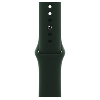 Ремешок для Apple Watch (42-44mm) Sport Band Dark Green (48)