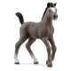 Игрушка фигурка Schleich Французский жеребенок