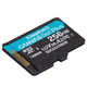 Kingston Canvas Go! Plus microSD [SDCG3/256GBSP]