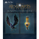 Игра Hogwarts Legacy [Blu-Ray диск] (PS5)