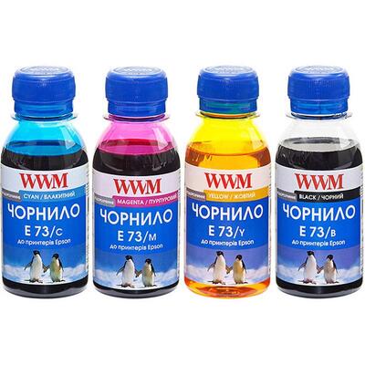 Комплект чернил WWM для EPSON Stylus CX3700/T26/TX106/TX206/TX419 B/C/M/Y (E73SET-2) 4*100г