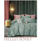 Комплект SOHO Комплект пост.білизни Євро Boutique 200*230 Dew Mint