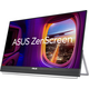 Монітор портативний Asus 21.5" ZenScreen MB229CF HDMI, USB-C, MM, IPS, 100Hz, AdaptiveSync, C-Clamp Arm