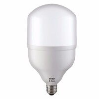 Лампа Светодиодная "TORCH-40" 40W 4200K E27