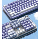 Клавіатура Aula Mechanical F2088 PRO White/Violet, plus 9 Purple keys KRGD blue (6948391234915)