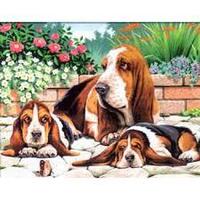 Набір для творчості Sequin Art PAINTING BY NUMBERS SENIOR Basset Hounds (SA0044)