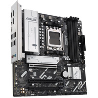 Материнская плата Asus Prime B840M-A-CSM Socket AM5