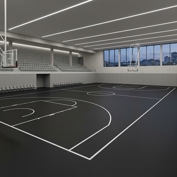 Спортивний Лінолеум Tarkett Omnisports V35 - black (2m)