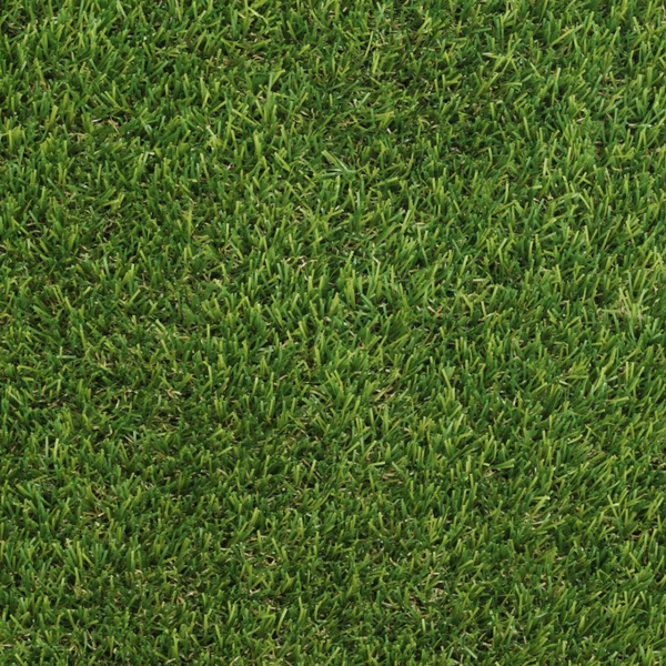 Декоративна трава Congrass JakArta 30  4.0m