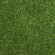 Декоративная трава Congrass JakArta 30 4.0m
