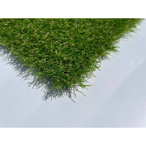 Декоративна трава Congrass JakArta 30  4.0m