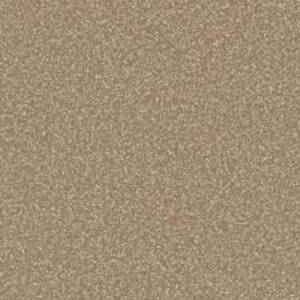 Лінолеум Tarkett STELLA ST 4 (2m)