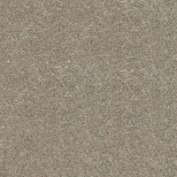 Ковролин Associated Weavers Discretion 29