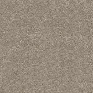 Ковролин Associated Weavers Discretion 29