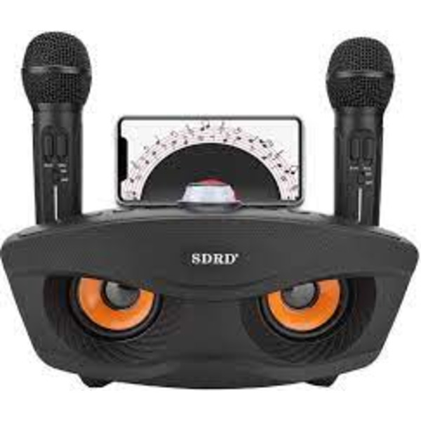 Портативна колонка SDRD SD-306 Чорний