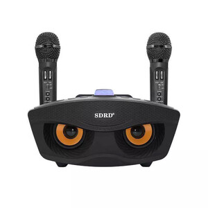 Портативна колонка SDRD SD-306 Чорний