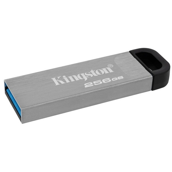USB-Флешка USB 3.2 256GB Kingston DataTraveler Kyson Silver/Black (DTKN/256GB)