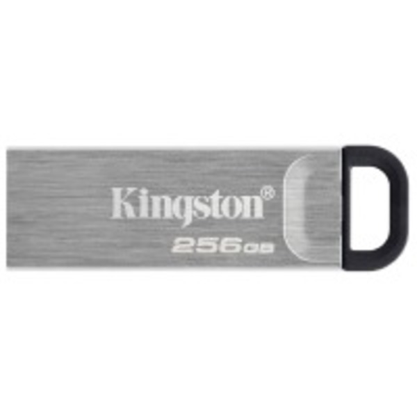 USB-Флешка USB 3.2 256GB Kingston DataTraveler Kyson Silver/Black (DTKN/256GB)