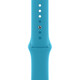 Ремінець для Apple Watch (42-44mm) Sport Band Sky Blue (16)