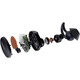 Bose Sport Earbuds [Baltic Blue]