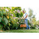 Bosch Триммер садовый EasyGrassCut 26, 280 Вт, 26 см, шпуля 1.6 мм x 4 м, 1.9 кг