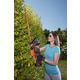 Кусторез аккумуляторный BLACK+DECKER BCHTS3625L1