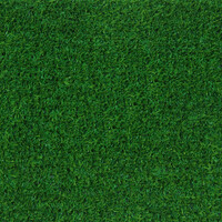 Декоративная трава BARBADOS 20 4.0m Green