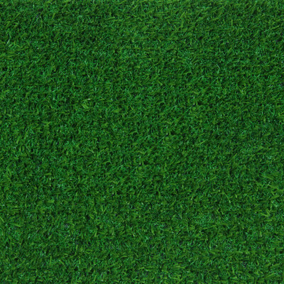 Декоративная трава BARBADOS 20 4.0m Green