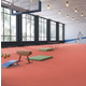 Спортивный Линолеум Tarkett Omnisports V65 - coral (2m)