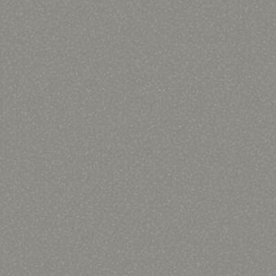 Лінолеум Tarkett SPARK A 11 (2m)