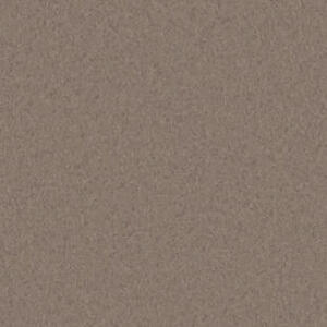 Лінолеум Tarkett iQ GRANIT SOFT BROWN 0755