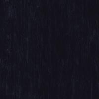 Лінолеум Tarkett Standard Plus Black 0500 (2m)