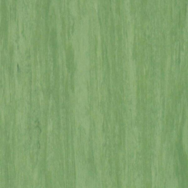 Линолеум Tarkett Standard Plus Dark Green 0921 (2m)