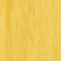 Лінолеум Tarkett Standard Plus Gold 0916 (2m)