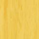 Лінолеум Tarkett Standard Plus Gold 0916 (2m)