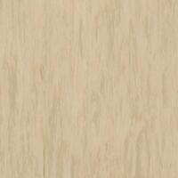 Лінолеум Tarkett Standard Plus Light Yellow Beige 0483 (2m)